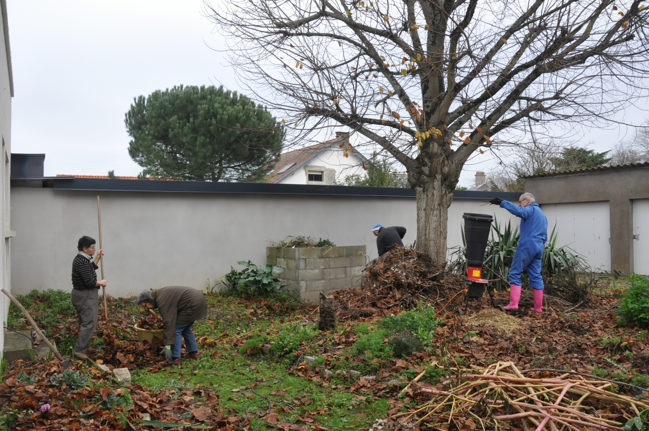 Troisième rencontre « Jardin de notre création » – compte-rendu