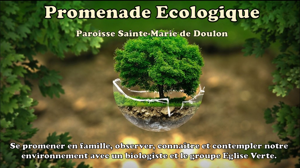 Promenade écologique