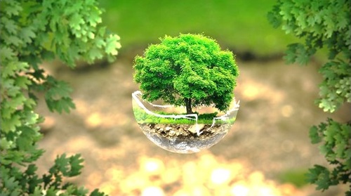 Soirée de carême Église verte